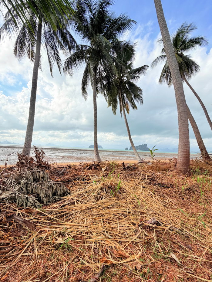 รูป ที่ดินติดชายหาดเกาะยาวน้อย พร้อมขาย - รูปที่ 1/32