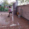 listing thumbnail image 14