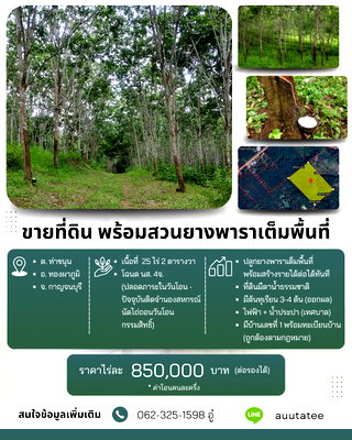 ที่ดิน ทองผาภูมิ กาญจนบุรี : ขายที่ดินทองผาภูมิ 25 ไร่ 2 ตารางวา โฉนดครุฑแดง (น.ส.4 จ.) พร้อมสวนยางกรีดได้ทันที