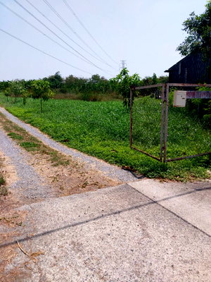 ที่ดิน โรงเรียนนานาชาติร่วมฤดี วิทยาเขตอนุบาล : ด่วน! ที่ดินทำเลทอง 1 ไร่ หทัยราษฎร์ ใกล้ถนนใหญ่แค่ 300 ม. ถนนกว้าง 8 เมตร เหมาะทำโกดัง/โฮมออฟฟิศ เพียงไร่ละ 9 ล้าน