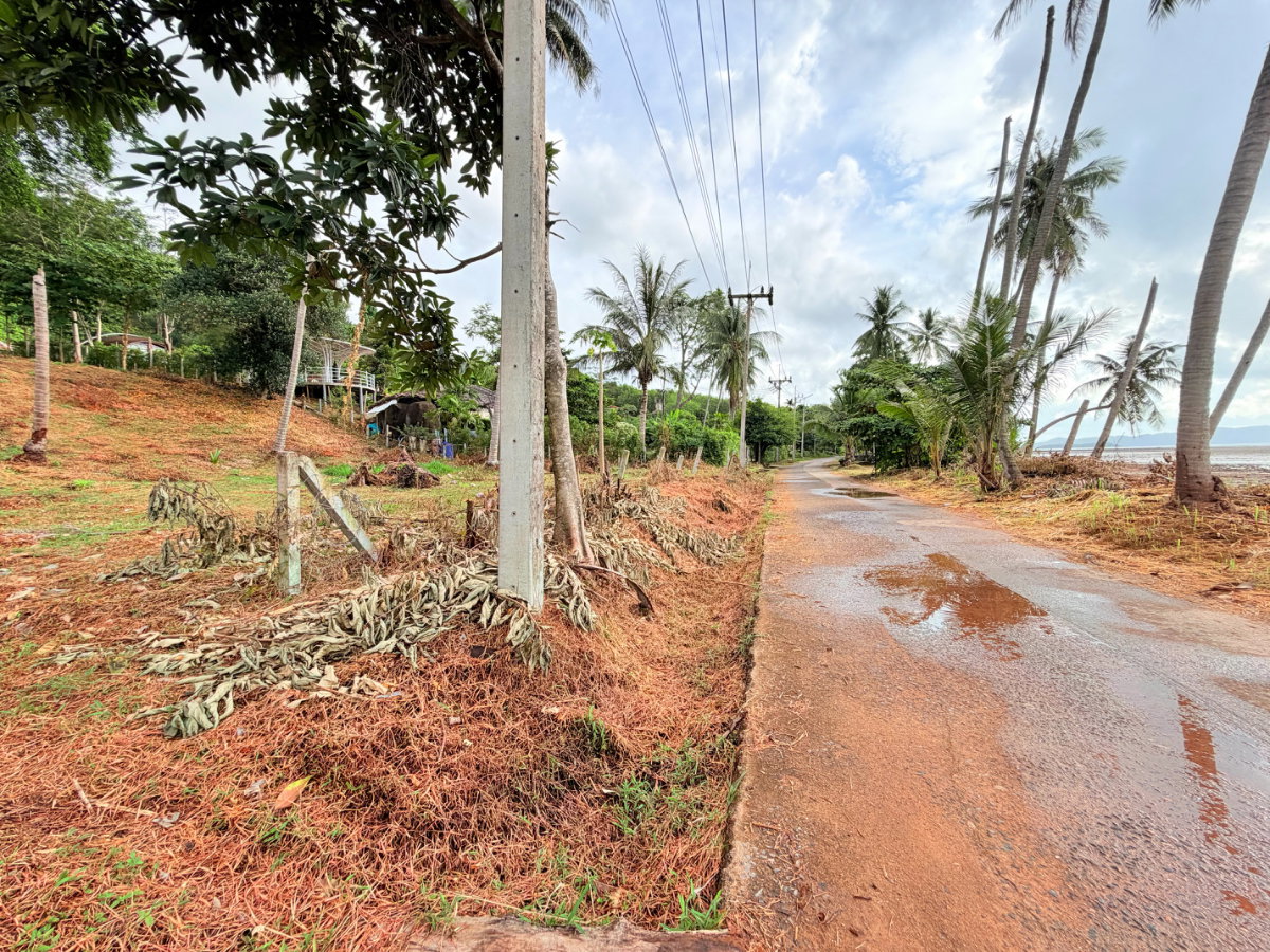 รูป ที่ดินติดชายหาดเกาะยาวน้อย พร้อมขาย - รูปที่ 11/32