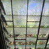 listing thumbnail image 6