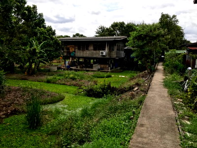ที่ดิน กระทรวงพาณิชย์ นนทบุรี : ขายด่วน ที่ดินริมน้ำ เนื้อที่ 2ไร่ 2งาน