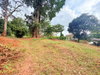listing thumbnail image 31