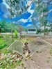 listing thumbnail image 5