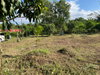listing thumbnail image 30