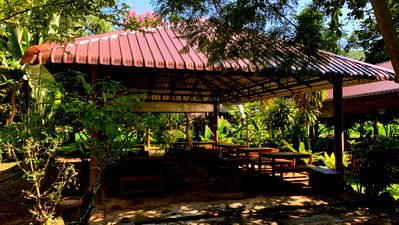 Land for sale Chiang Rai : 16.5 Rai Land with Restaurant Buildings and Mountain Views, Chiang Saen, Chiang Rai