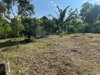 listing thumbnail image 21