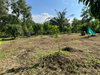 listing thumbnail image 31