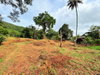 listing thumbnail image 26
