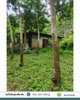 listing thumbnail image 11