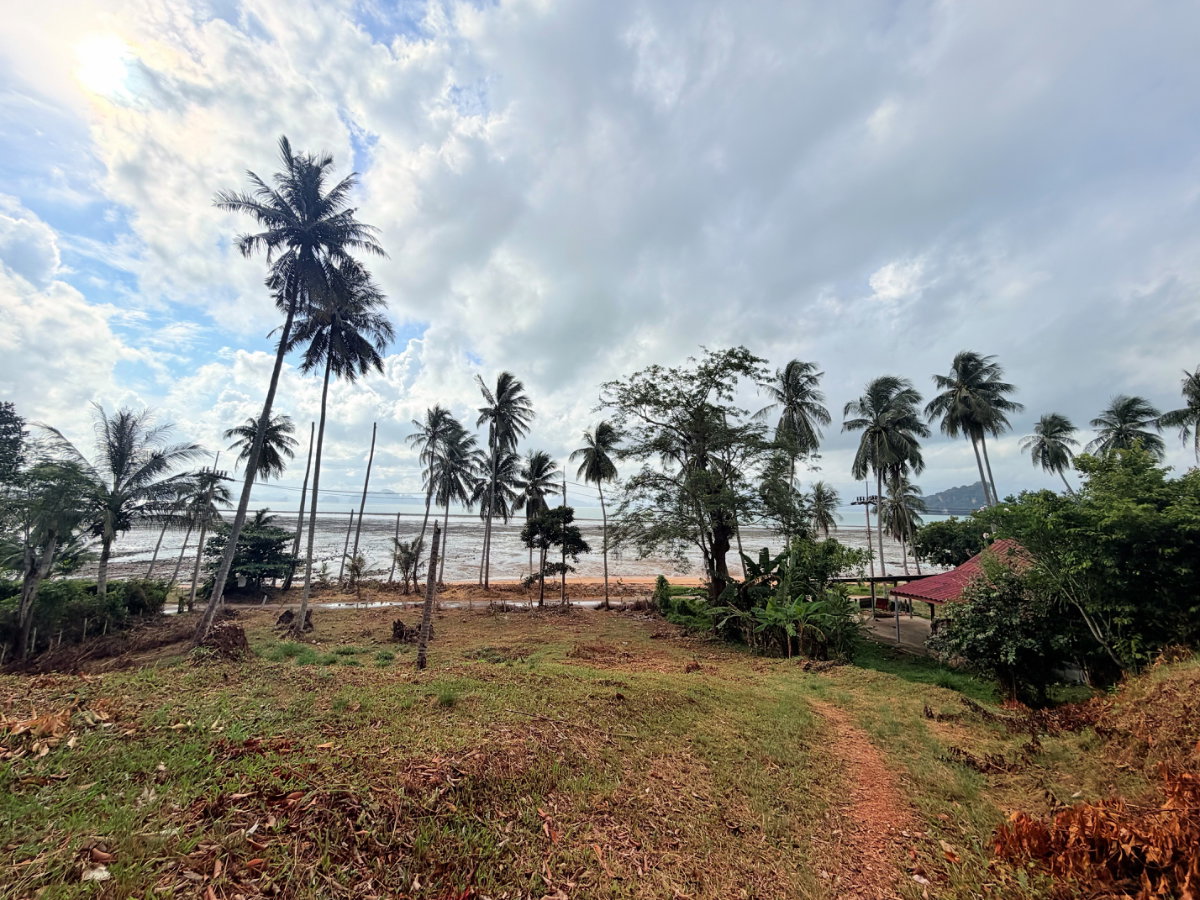 รูป ที่ดินติดชายหาดเกาะยาวน้อย พร้อมขาย - รูปที่ 30/32