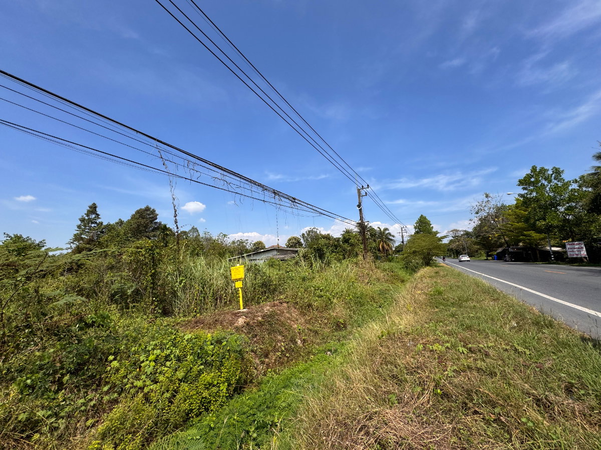 picture 🔥 Land for Sale – Phaka Nakhonnayok - 4/4