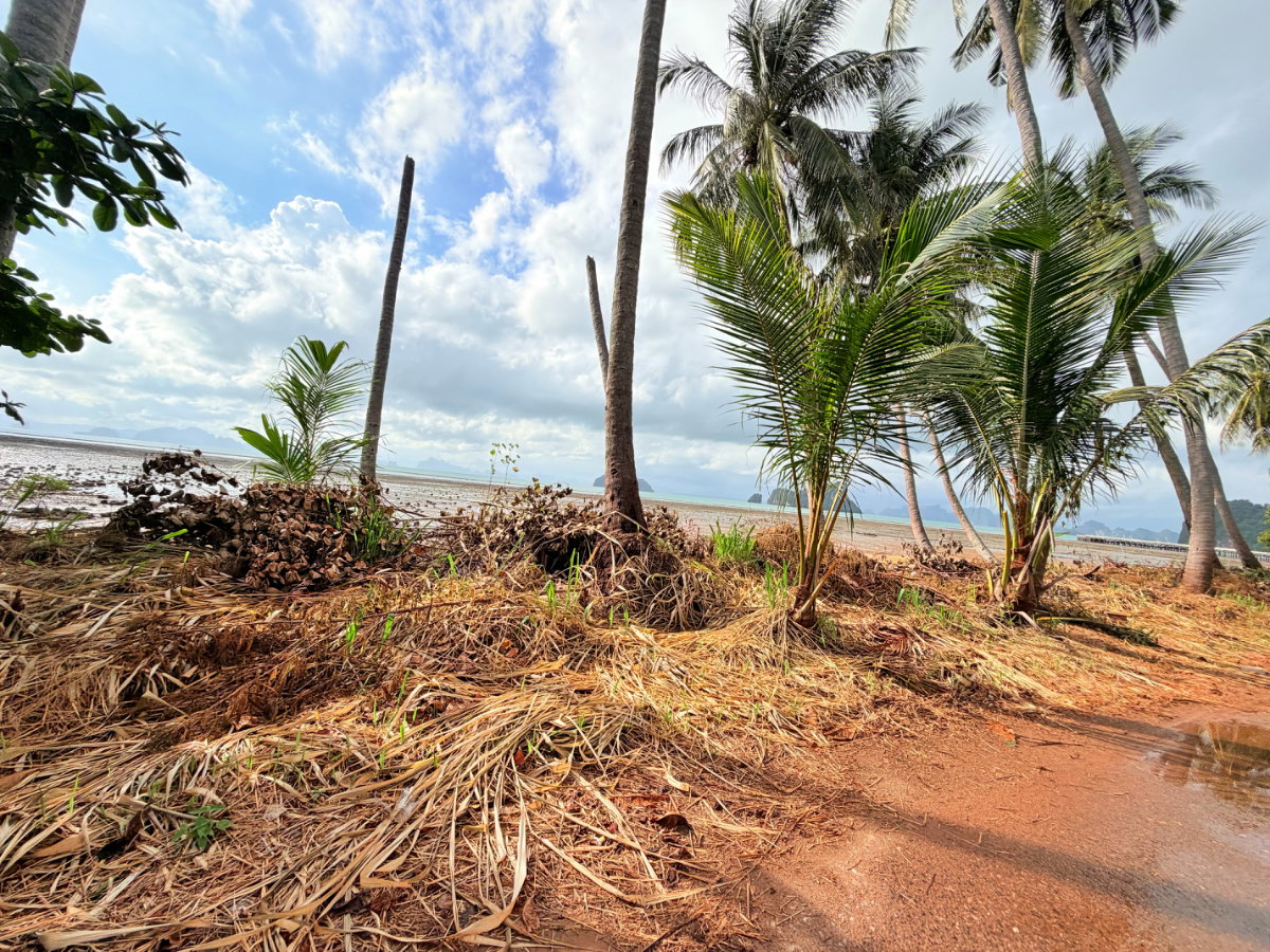 รูป ที่ดินติดชายหาดเกาะยาวน้อย พร้อมขาย - รูปที่ 16/32