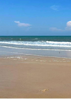 Land for sale Petchburi : land for sale thai land beach 
