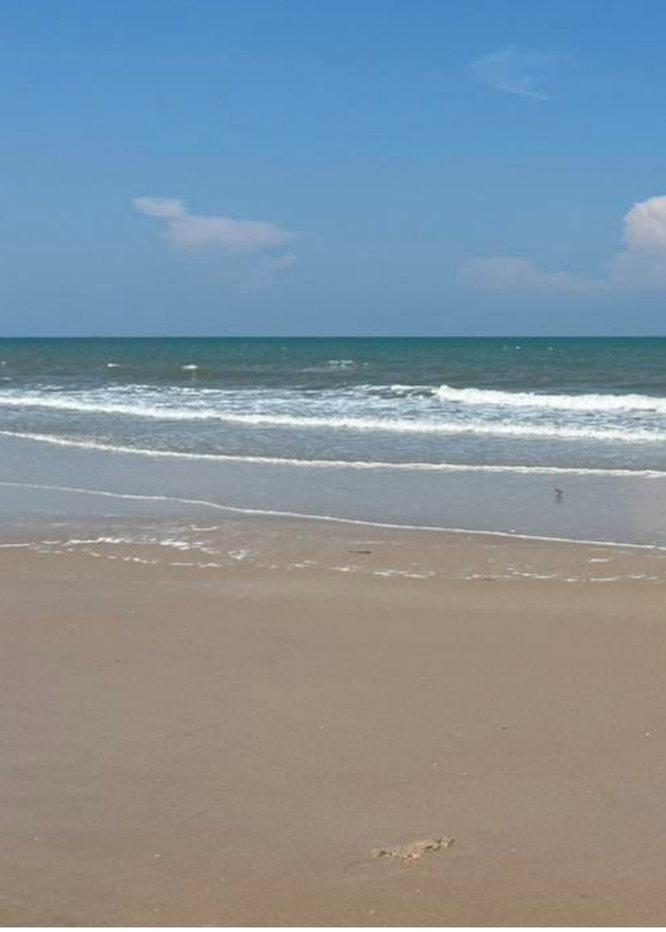 รูป ที่ดินติดทะเล หาดปึกเตียน ท่ายาง เพชรบุรี - รูปที่ 1/2