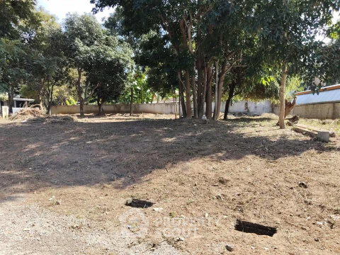 ที่ดิน 958 ตร.ม. ขาย หนองหาร สันทราย เชียงใหม่ (ID 3283260)