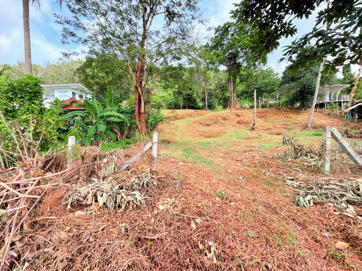 รูป ที่ดินติดชายหาดเกาะยาวน้อย พร้อมขาย - รูปที่ 12/32