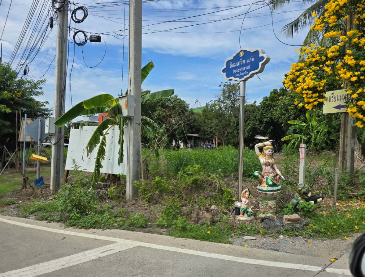 รูป สวนติดเมือง “ซอยท่าลาน–อ้อมเกร็ด” ราชพฤกษ์–รัตนาธิเบศร์ | ปากเกร็ด นนทบุรี 4 ไร่ห น้ากว้าง ติดถนน 77 ม. 25000 บาท/ตรว - รูปที่ 9/12