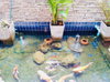 listing thumbnail image 17