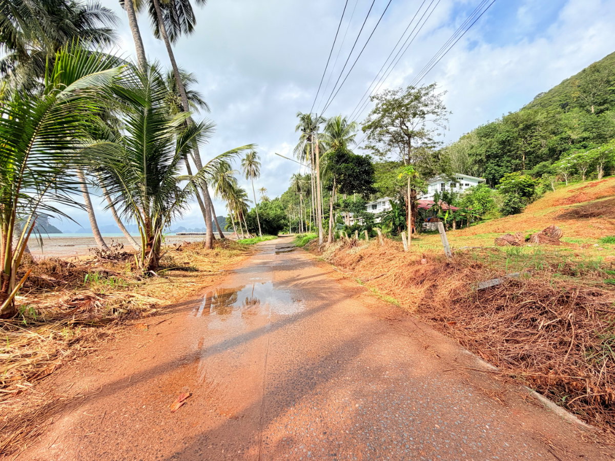 รูป ที่ดินติดชายหาดเกาะยาวน้อย พร้อมขาย - รูปที่ 15/32