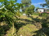 listing thumbnail image 23