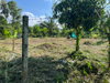 listing thumbnail image 29