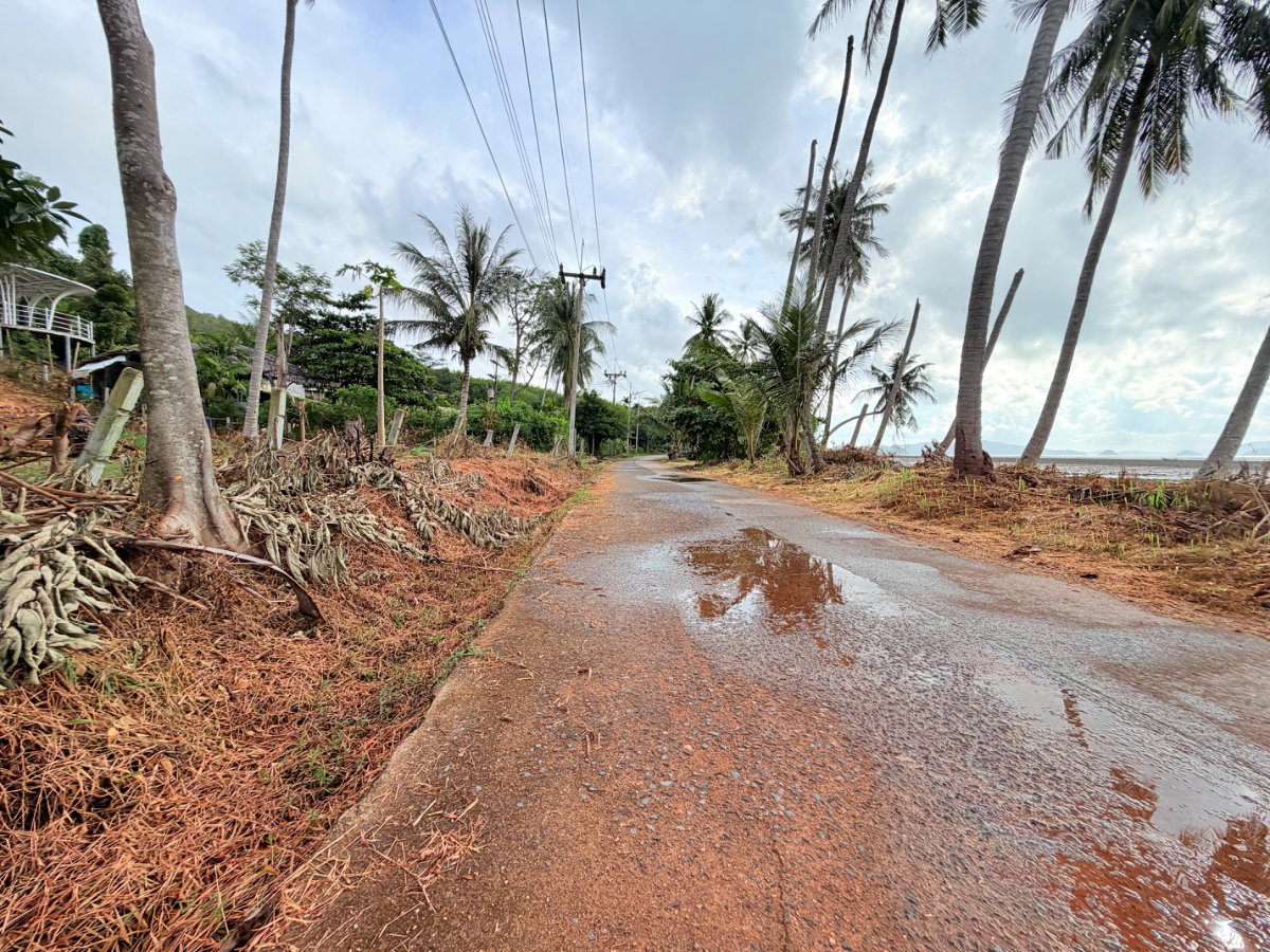 รูป ที่ดินติดชายหาดเกาะยาวน้อย พร้อมขาย - รูปที่ 4/32