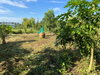 listing thumbnail image 24