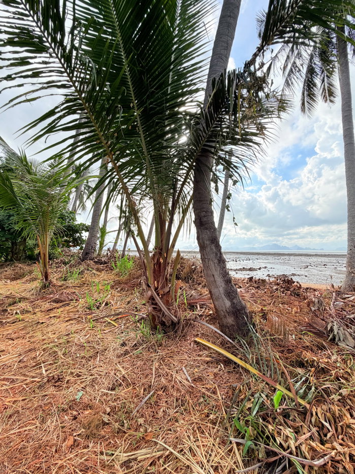 รูป ที่ดินติดชายหาดเกาะยาวน้อย พร้อมขาย - รูปที่ 2/32