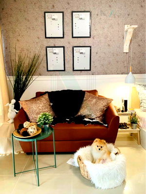 Condos for rent : 🔺 For Rent Condo I-HOUSE LAGUNA GARDEN Building E, Floor 7,Studio, Room size 26 sqm