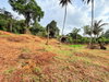 listing thumbnail image 24