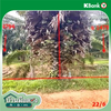 listing thumbnail image 22