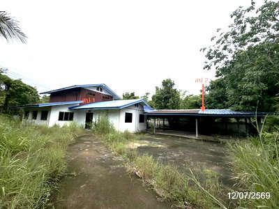 บ้านเดี่ยว 212 ตร.วา พิบูลมังสาหาร อุบลราชธานี 1.5M
