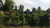 listing thumbnail image 14