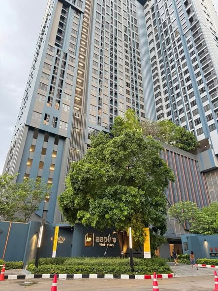 picture For rent !!  Aspire Vibha - Victory  | 19K. per month | 32.7 Sq.m.  1Bed1Bath  19th Floor - 13/15