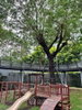 listing thumbnail image 16