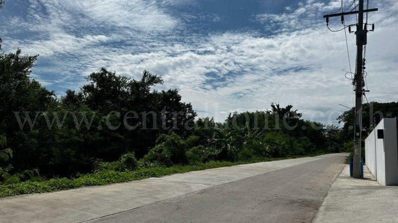 รูป ที่ดิน บ้านปทุม สามโคก ทำเลดี ติดถนนสาธารณะ ถมแล้ว ใกล้ความเจริญ - รูปที่ 17/18