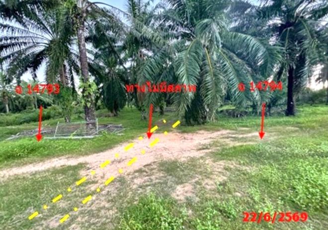 picture LAND 26314 Sq.w. Tha Chang Surat Thani for 45.5M - 5/25
