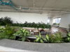 listing thumbnail image 51