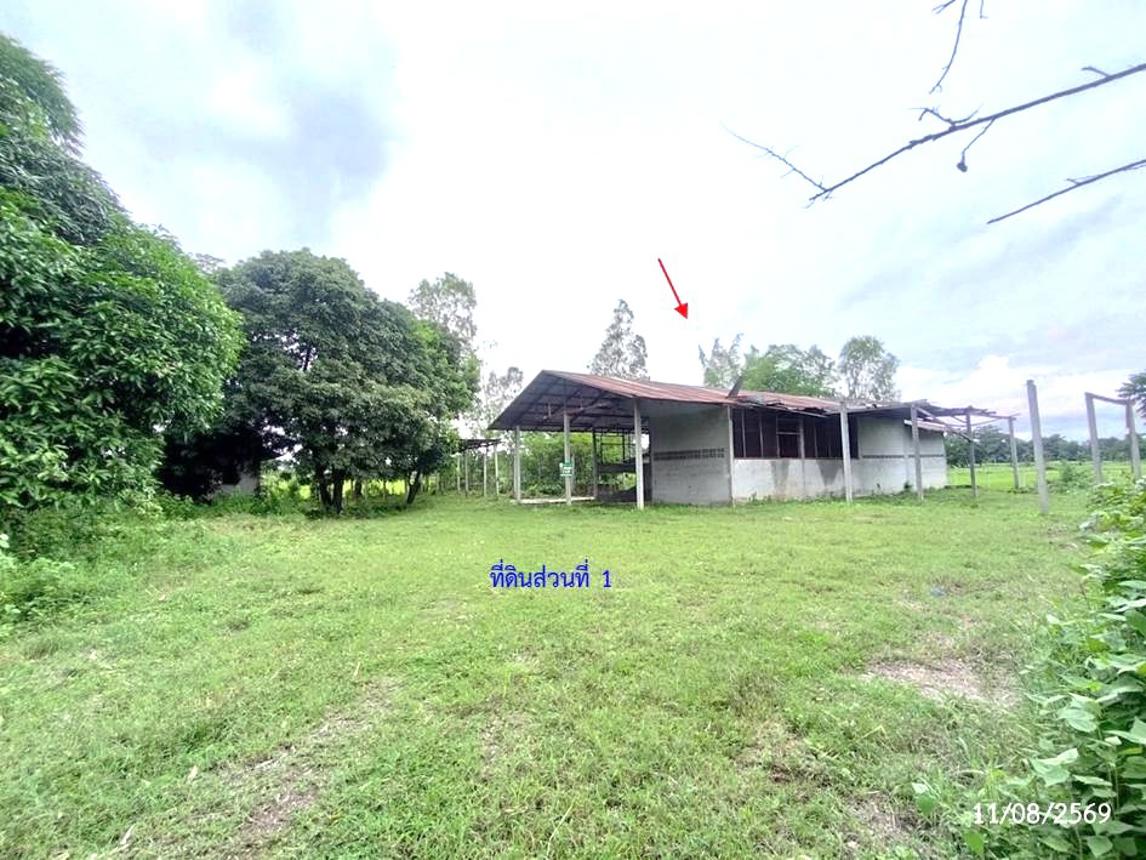 รูป บ้านเดี่ยว 2000 ตร.วา สว่างแดนดิน สกลนคร 2M - รูปที่ 29/35