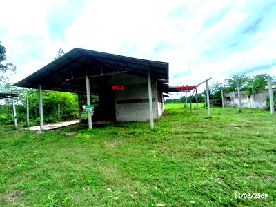 บ้านเดี่ยว สกลนคร : บ้านเดี่ยว 2000 ตร.วา สว่างแดนดิน สกลนคร 2M