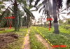 listing thumbnail image 5