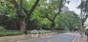listing thumbnail image 3