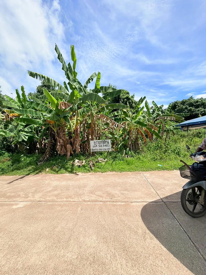รูป ขายที่ดินทำเลดี เกาะยาวน้อย วิวธรรมชาติ เหมาะลงทุน/ทำสวน - รูปที่ 5/21