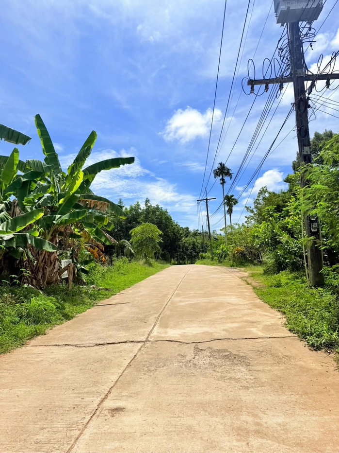 รูป ขายที่ดินทำเลดี เกาะยาวน้อย วิวธรรมชาติ เหมาะลงทุน/ทำสวน - รูปที่ 4/21