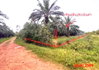 listing thumbnail image 12