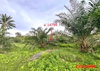 listing thumbnail image 19