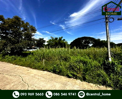 ที่ดิน วิทยาลัยเทคนิคปทุมธานี : ที่ดิน บ้านปทุม สามโคก ทำเลดี ติดถนนสาธารณะ ถมแล้ว ใกล้ความเจริญ