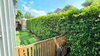 listing thumbnail image 24